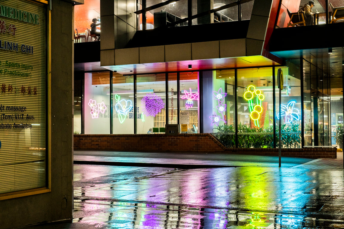 Brimbank Native Flower windows