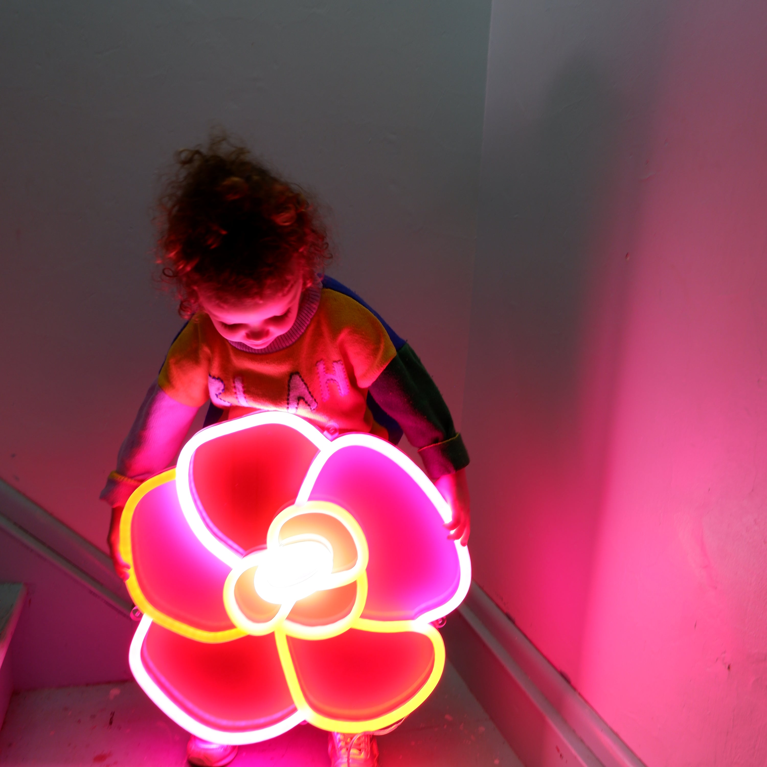 Bloomin' LED Neon sign in material girl, clementine, pretty pink, and stop sign.