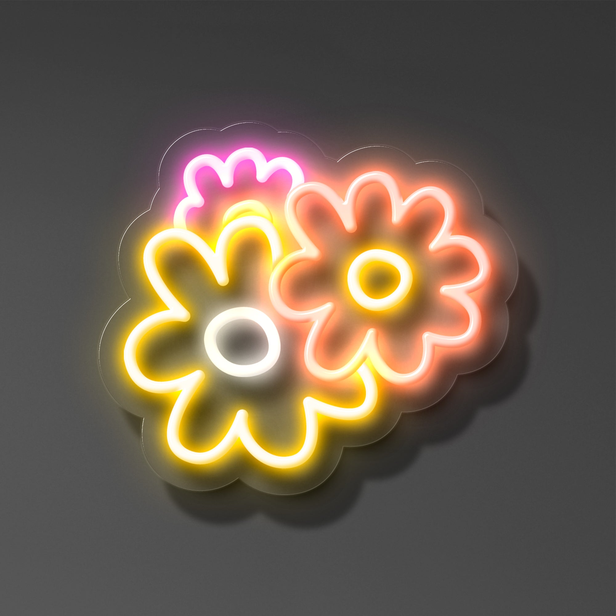 One of Those Daisies