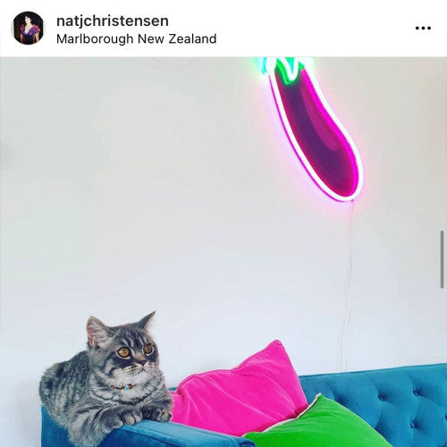 Eggplant